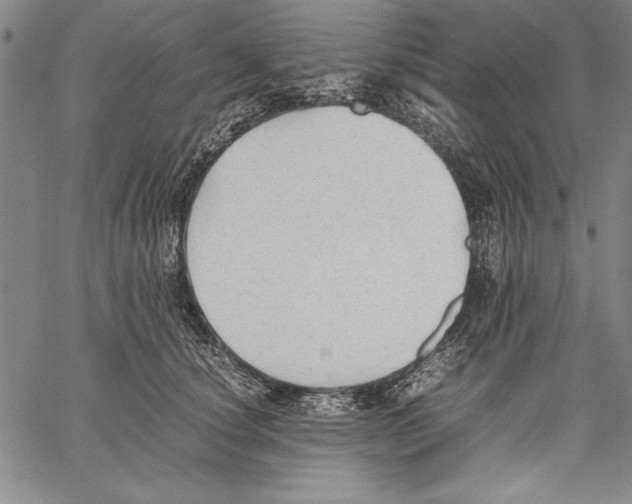 X0000060550660200512011617