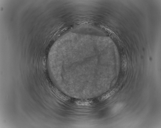 X0000060550661200512011618