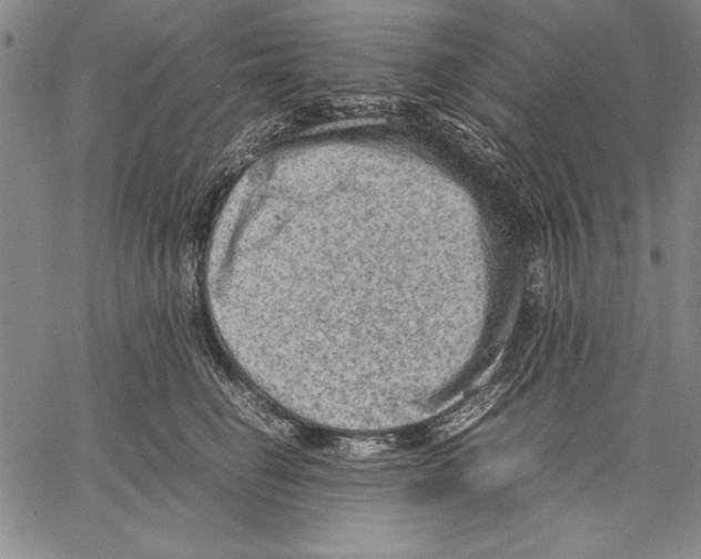 X0000060550662200512011618