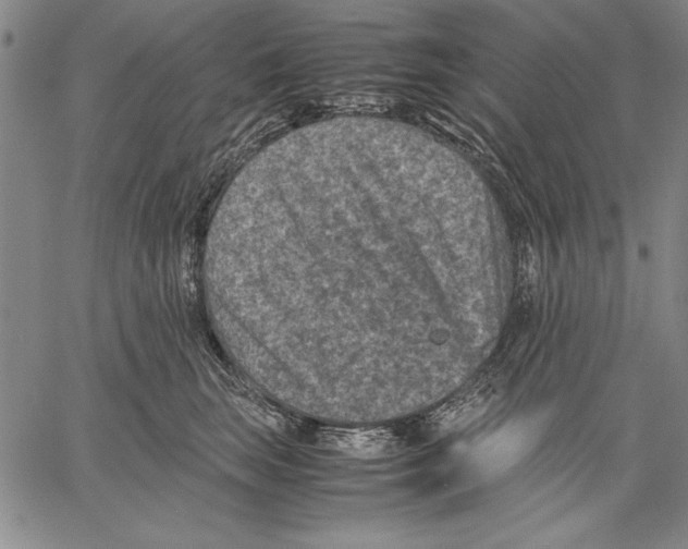 X0000060550663200512011618