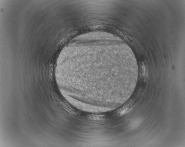 X0000060550664200512011618