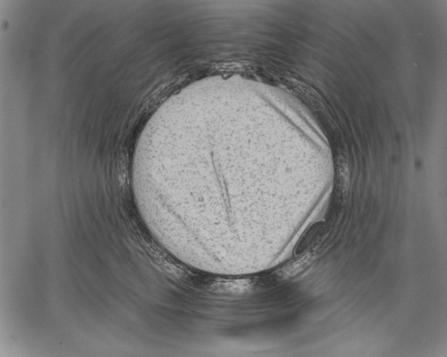 X0000060550665200512011618