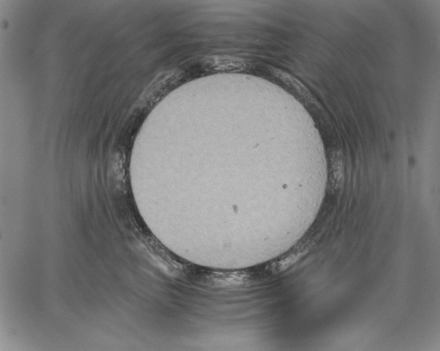 X0000060550667200512011618