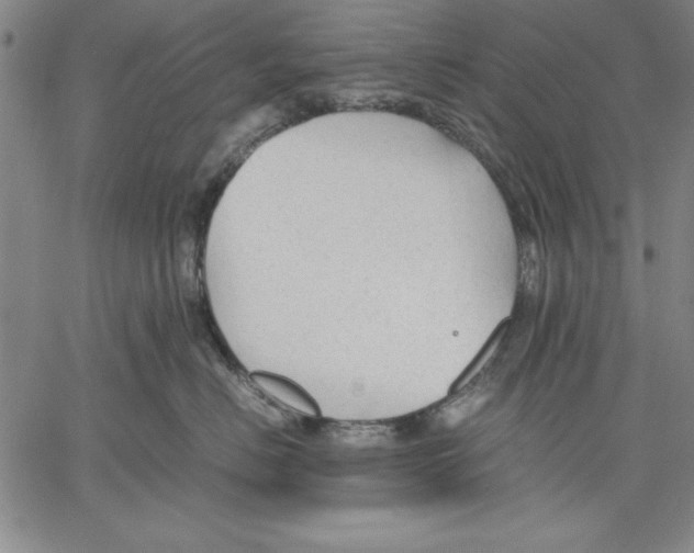 X0000060550670200512011618