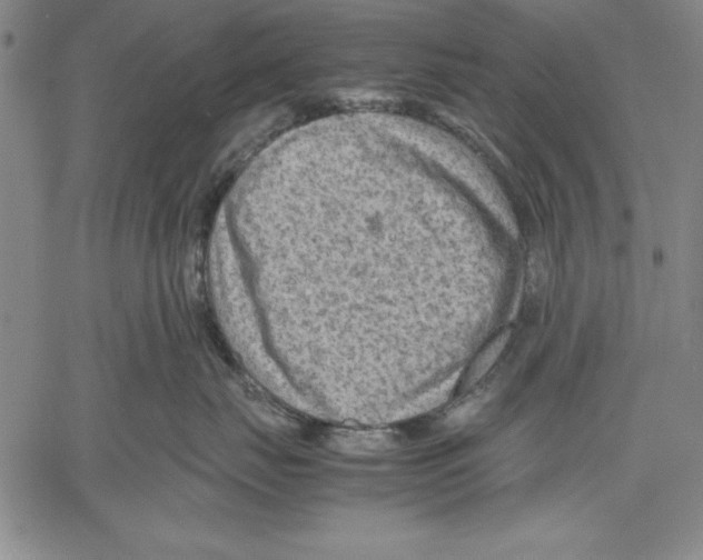 X0000060550671200512011618