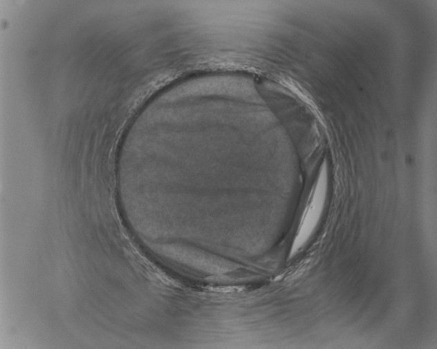 X0000060550673200512011617