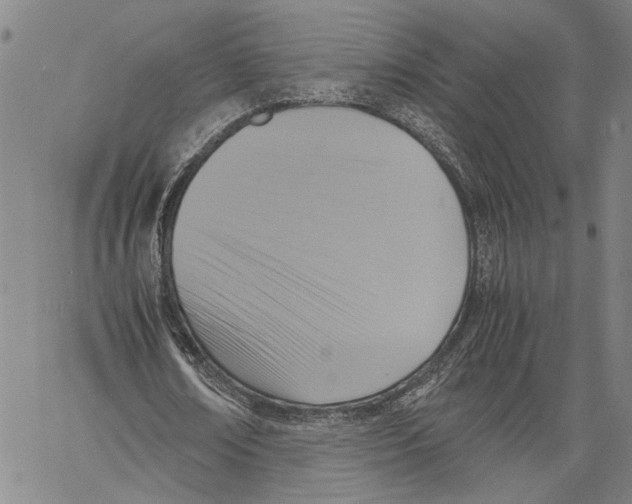 X0000060550674200512011617