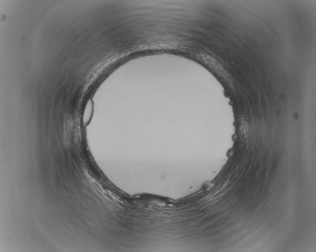 X0000060550676200512011617