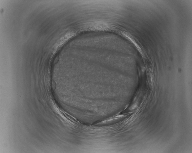 X0000060550677200512011617