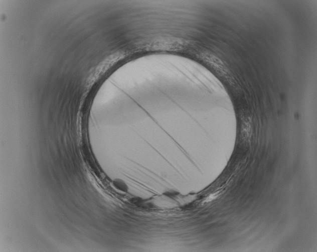 X0000060550678200512011617