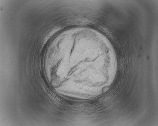 X0000060550679200512011617