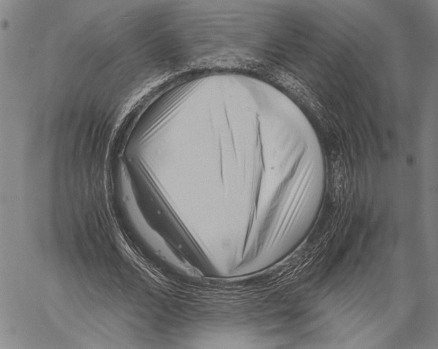 X0000060550680200512011617