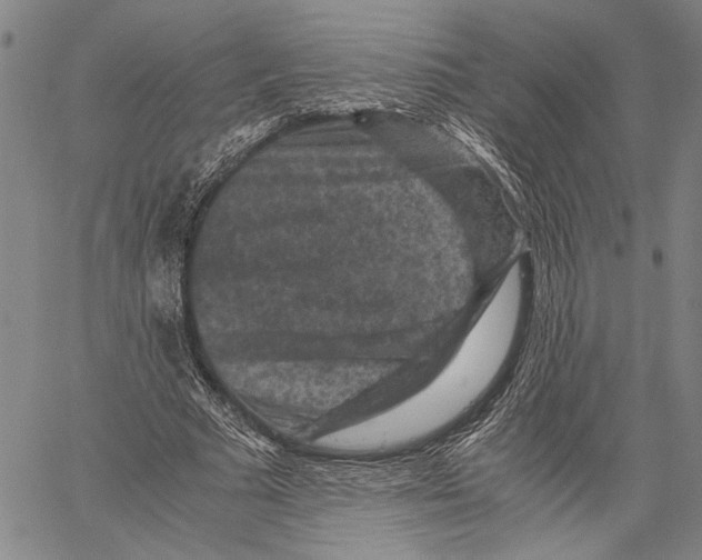 X0000060550681200512011617