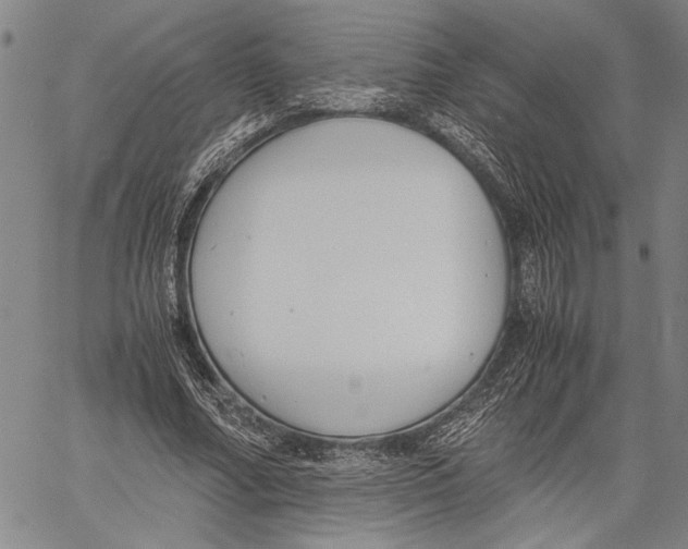 X0000060550682200512011617