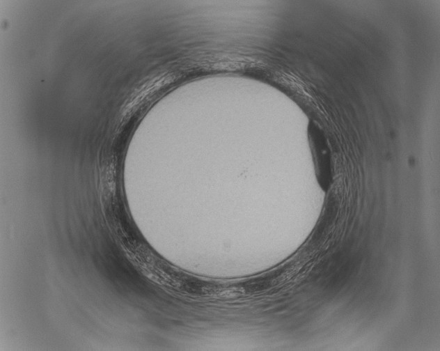 X0000060550683200512011617