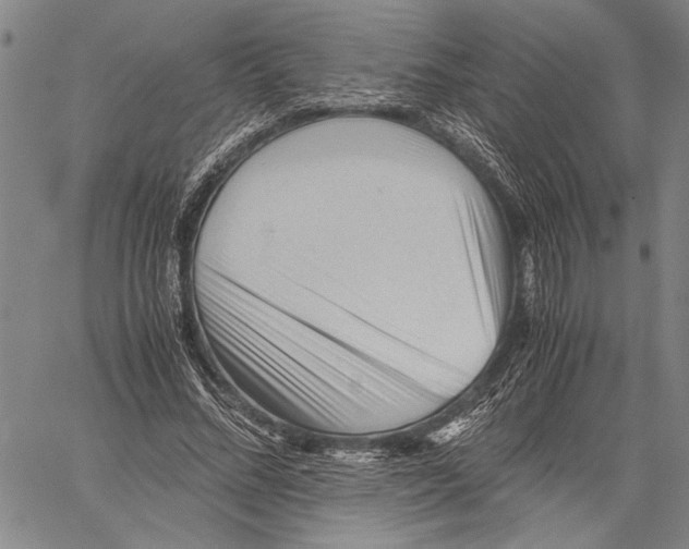 X0000060550684200512011617