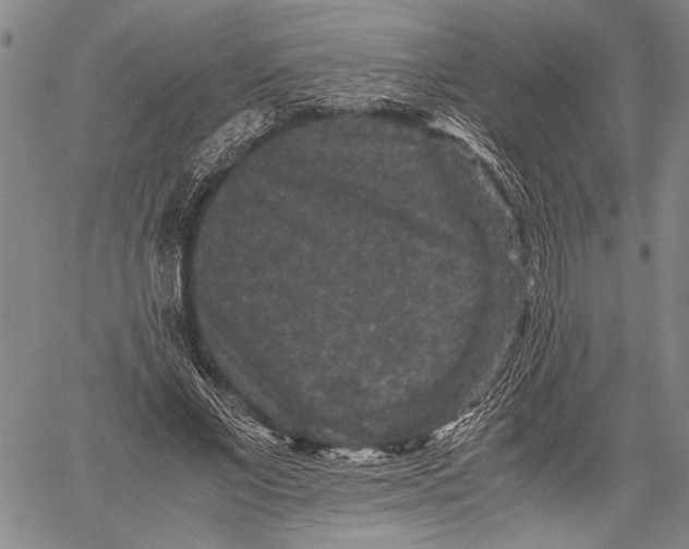 X0000060550685200512011617