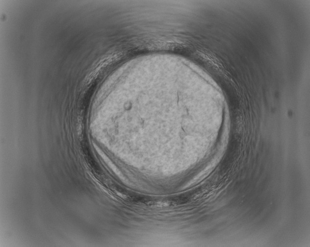 X0000060550687200512011617