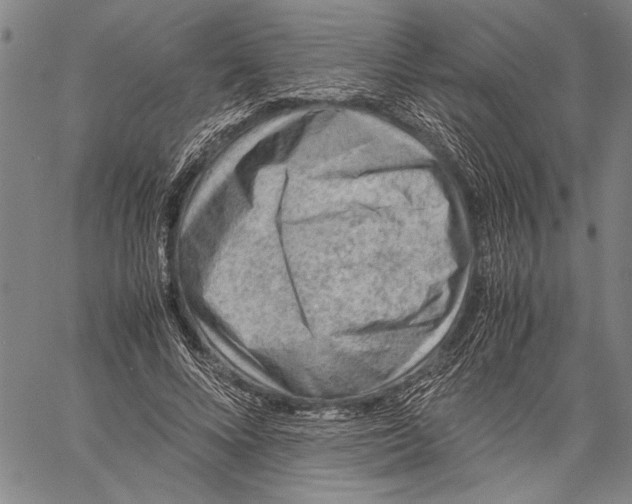 X0000060550688200512011617