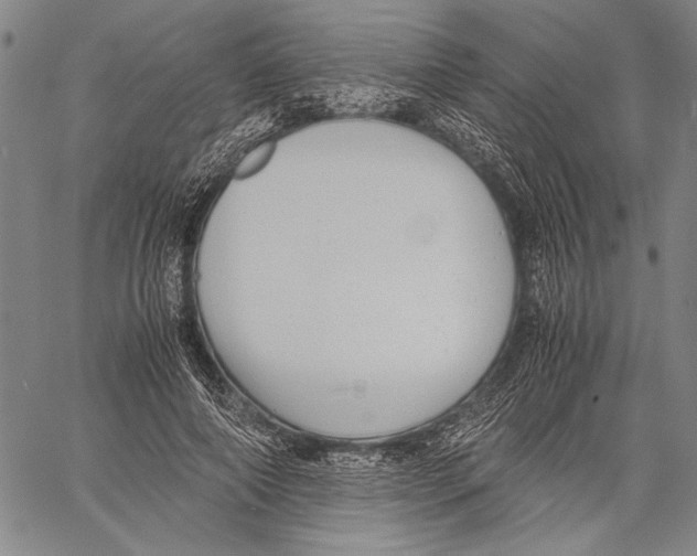 X0000060550690200512011617