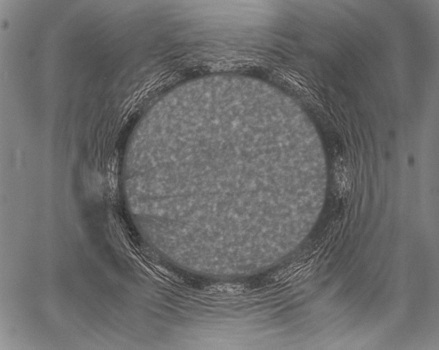 X0000060550691200512011617