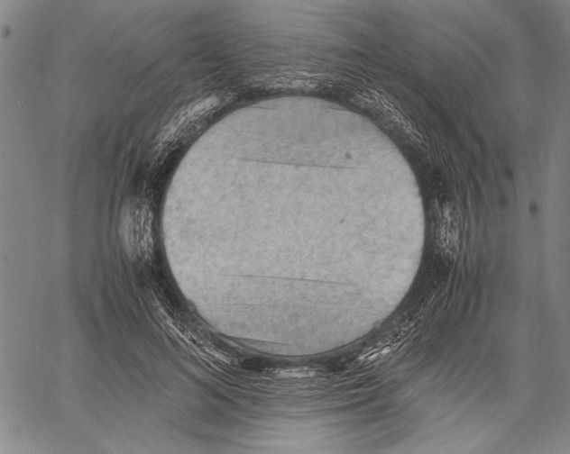 X0000060550692200512011617