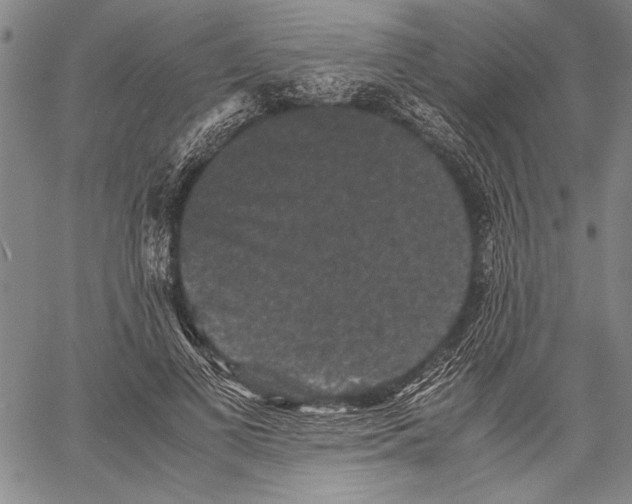 X0000060550693200512011617