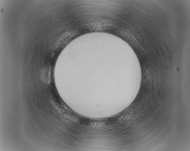 X0000060550694200512011617