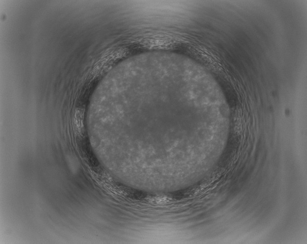 X0000060550695200512011617