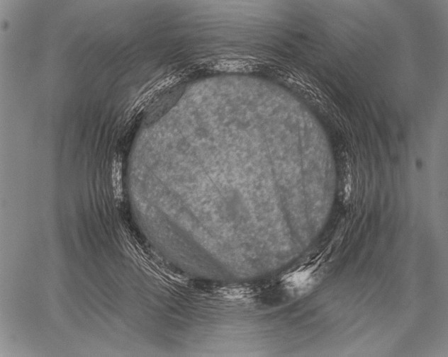 X0000060550696200512011617