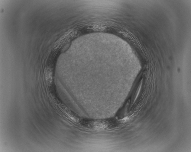 X0000060550697200512011616