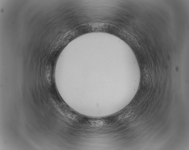 X0000060550698200512011616