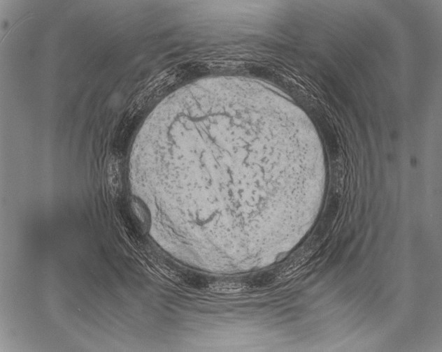 X0000060550699200512011616