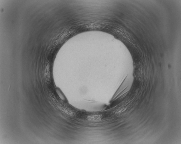 X0000060550700200512011616