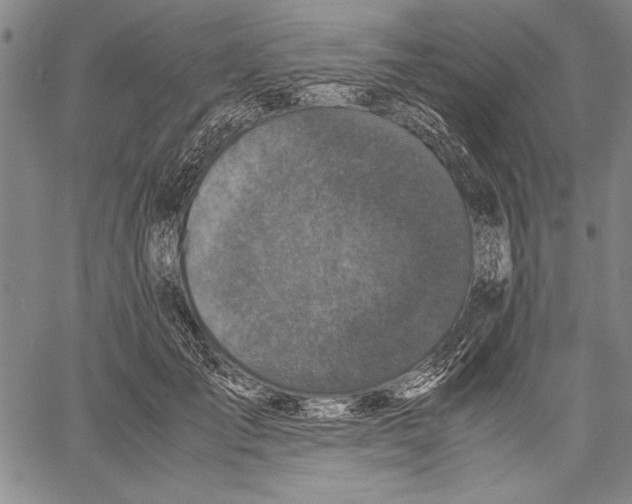 X0000060550701200512011616