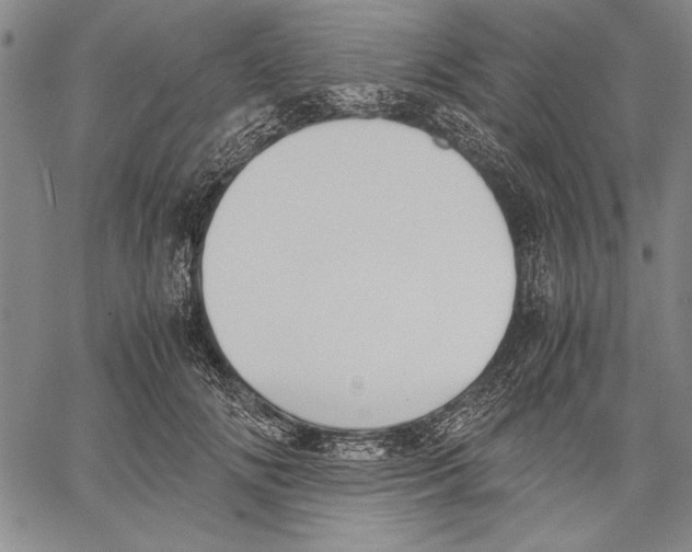 X0000060550702200512011616