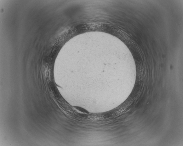 X0000060550703200512011616