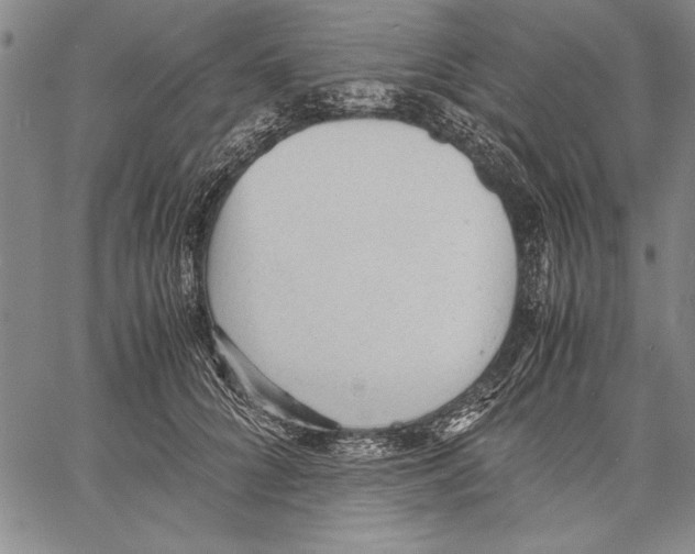 X0000060550704200512011616