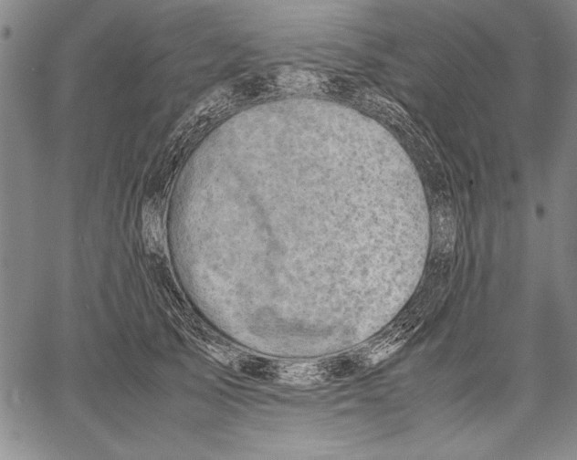 X0000060550705200512011616