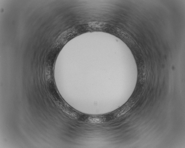 X0000060550706200512011616