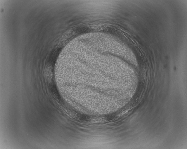 X0000060550707200512011616