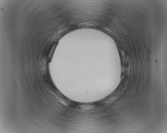 X0000060550708200512011616