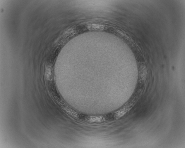 X0000060550709200512011616