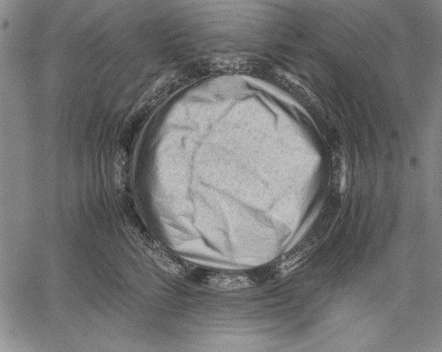 X0000060550712200512011616