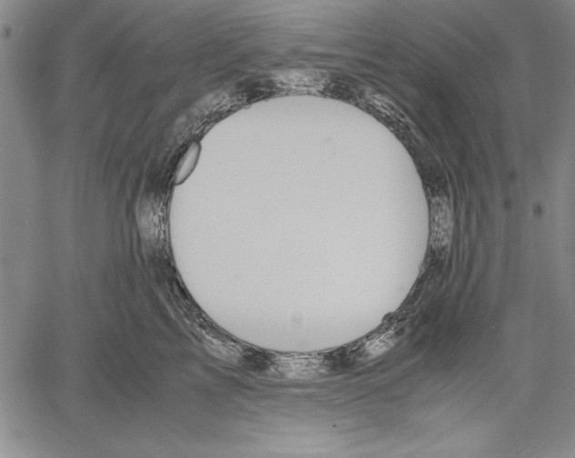 X0000060550713200512011616