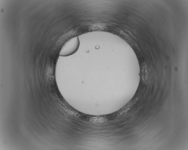 X0000060550714200512011616