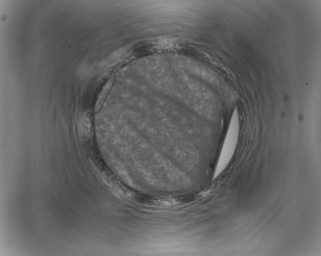 X0000060550715200512011616