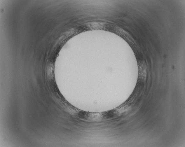 X0000060550717200512011616