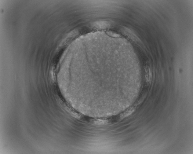 X0000060550718200512011616