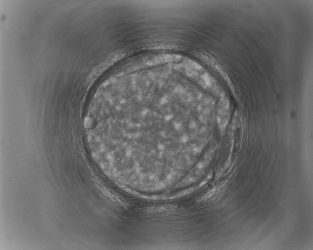 X0000060550721200512011615